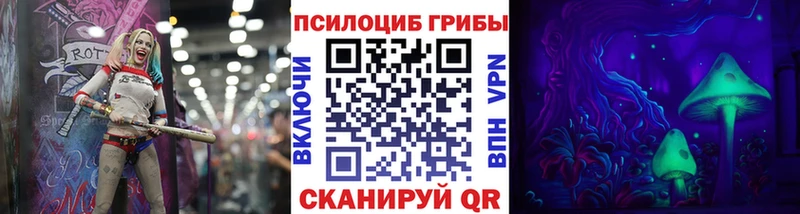 OMG маркетплейс  Мещовск  Псилоцибиновые грибы ЛСД  купить наркоту 
